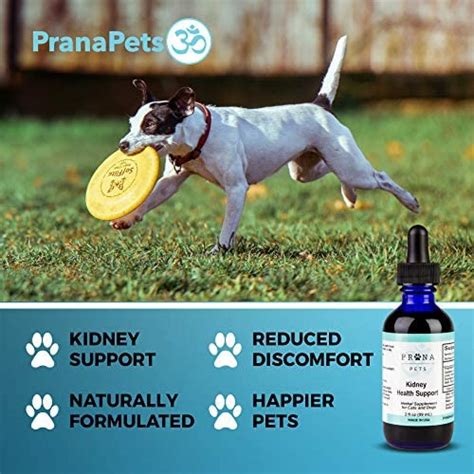 prana pets kidney support